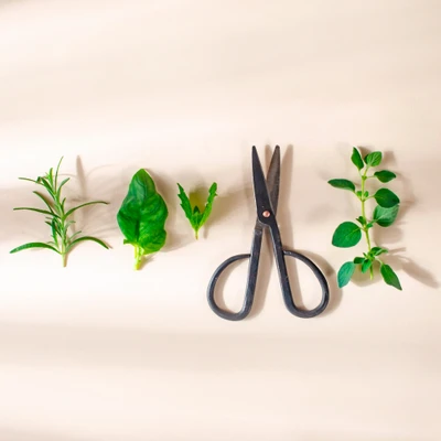 Stainless steel scissors, 'Easy Clippings' (pair) - Pair of Small Gardening Herb Scissors from India