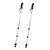 Aluminum hiking sticks, 'Back Country' (pair) - Sturdy Aluminum Travel Hiking Sticks (Pair)