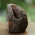 Agate geode, 'Earth's Heart' - Polished Brown Agate Geode from Brazil