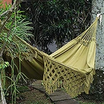 Loomed Olive Cotton Hammock with Crocheted Details (Single), 'Olive Eden'