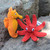Crocheted ornaments, 'Holidays from the Sea' (set of 2) - Set of Two Sea-Themed Acrylic Ornaments Crocheted by Hand