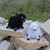 Crocheted ornaments, 'Woolly Duo' (set of 2) - Set of 2 Crocheted Black and White Acrylic Sheep Ornaments