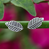 Classic Leaves