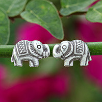 Posh Elephant