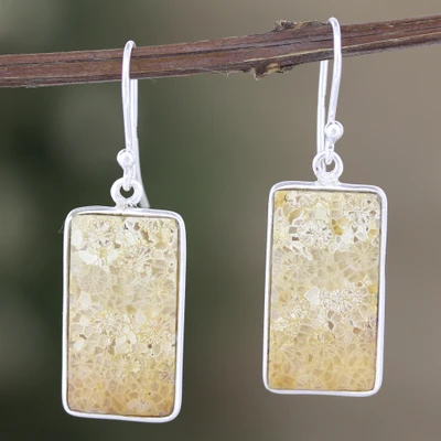Agate dangle earrings, 'Balanced Geometry' - Sterling Silver Dangle Earrings with Agate Cabochons