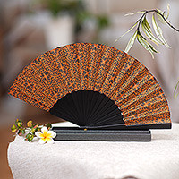 Aster Orange