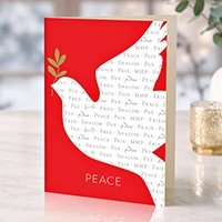 UNICEF holiday cards, 'Dove of Unity' (set of 12) - Unity Dove Theme Set of 12 Unicef Holiday Greeting Cards