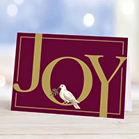 UNICEF holiday cards, 'Joy to the World' (set of 12) - Joy Themed Set of 12 Unicef Holiday Greeting Cards