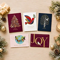 UNICEF greeting cards, 'Holiday Assortment' (set of 20) - Set of 20 Unicef Assorted Holiday Greeting Cards