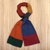Wool knit scarf, 'Doors of Dublin' - Unisex Wool Colorblock Scarf (image 2b) thumbail