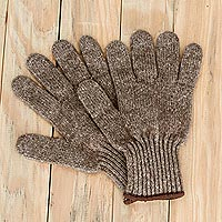 Unisex bison blend gloves, 'Ranch Hands' - Buffalo Wool Blend Knit Unisex Gloves