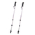 Aluminum hiking sticks, 'Back Country' (pair) - Sturdy Aluminum Travel Hiking Sticks (Pair)