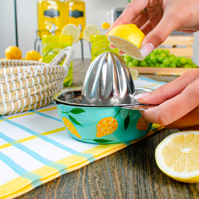 Stainless steel juicer, 'Lemon Lime Delight' - Handpainted Colorful Citrus Juicer from India