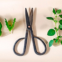 Stainless steel scissors, 'Easy Clippings' - Small Stainless Steel Gardening Scissors from India