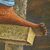'Stilt Walker' (2006) - Fine Art Naif Painting from Guatemala  (image 2c) thumbail