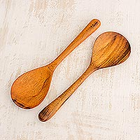 Wood serving spoons, 'Peten Delight' (pair)