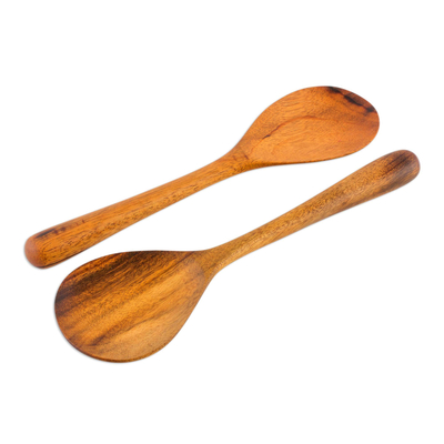 Handcrafted Wood Serving Spoons (Pair) - Peten Delight | NOVICA