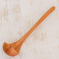 Wood ladle, 'Maya Soup' - Unique Serving Utensil from Guatemala