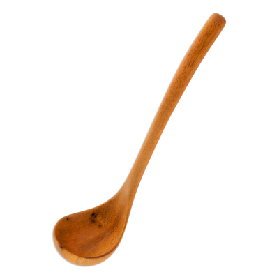 Wood ladle, 'Maya Soup' - Central American Wood Ladle Serving Utensil 