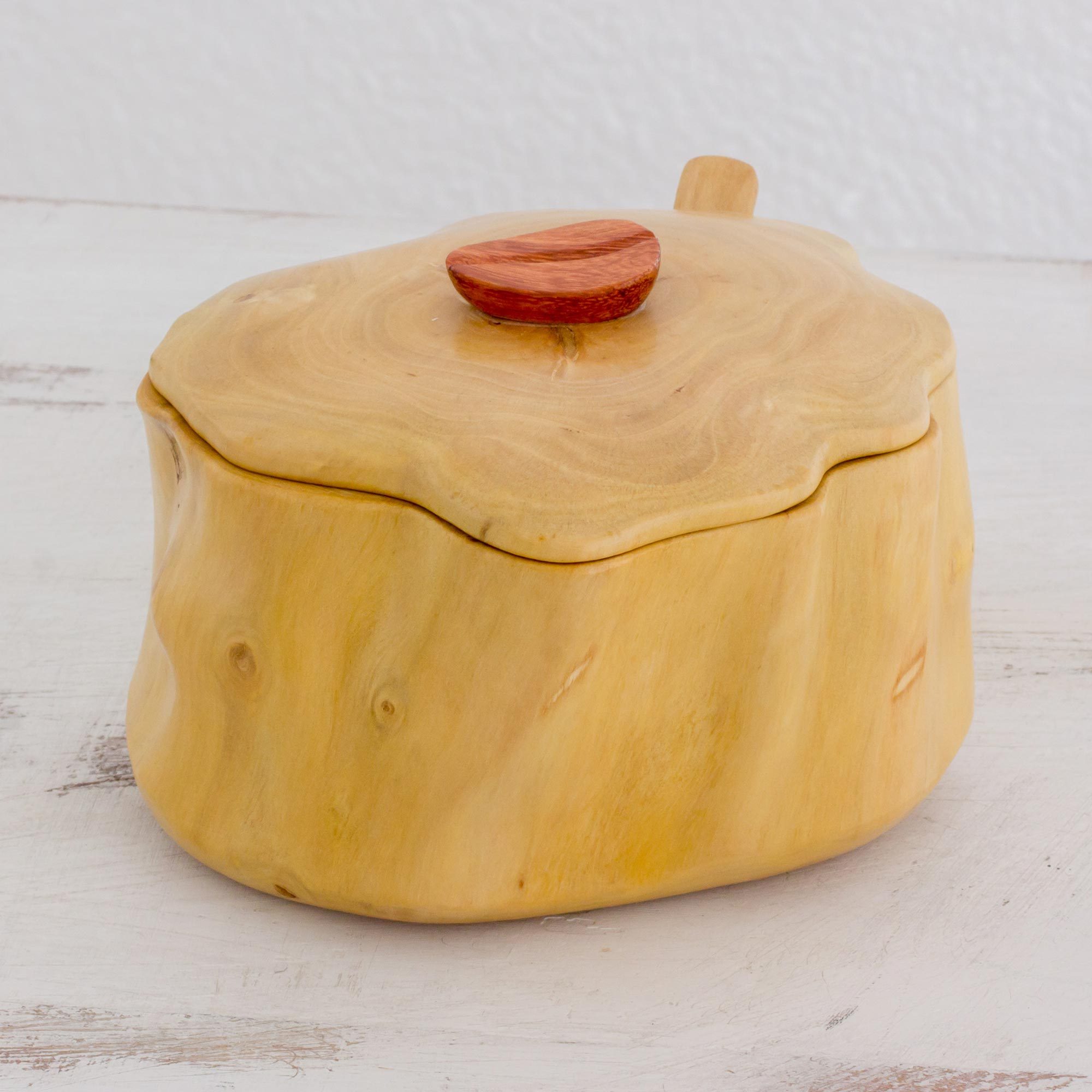 Handmade Modern Wood Sugar Bowl with Spoon Sweet Acatenango NOVICA