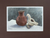 'Clay Jar and Dove' - Still Life Realist Painting (image 2a) thumbail