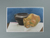 'Clay Jar and Pot' - Central American Still Life Realist Painting (image 2a) thumbail