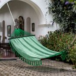 Cotton hammock, 'Take Me to the Forest' (single) - Cotton hammock (Single)