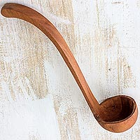Cedar wood ladle, 'Nature's Cuisine' - Cedar wood ladle