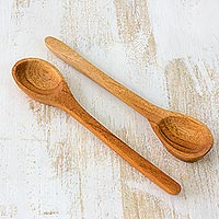 Cedar wood serving spoons, 'Exquisite Nature' (pair) - Cedar Wood Serving Spoons (Pair)