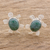 Jade button earrings, 'Marine Turtles' - Jade button earrings (image 2b) thumbail
