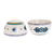 Ceramic bowls, 'Bermuda Star' (pair) - Artisan Crafted Ceramic Bowls with Floral Motif (Pair)