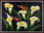 'Calla Lilies' - Floral Painting of Calla Lilies and Birds of Paradise Signed thumbail