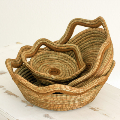 Pine needle baskets, 'Fertile River' (set of 3) - Hand Crafted Pine Needle Baskets (Set of 3) from Nicaragua