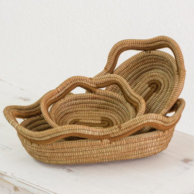 Pine needle baskets, 'Forest Trail' (set of 3) - Set of 3 Hand Made Oval Pine Needle Baskets from Nicaragua