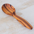 Wood ice cream scoop, 'Homestyle Delights' - Hand Carved Jobillo Wood Ice Cream Scoop from Guatemala (image 2) thumbail