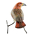 Ceramic figurine, 'Red-Tailed Hawk' - Guatemalan Handmade Red-Tailed Hawk Ceramic Bird Figurine