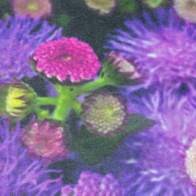 Taschentuch - Bedrucktes Taschentuch mit lila Blumendruck