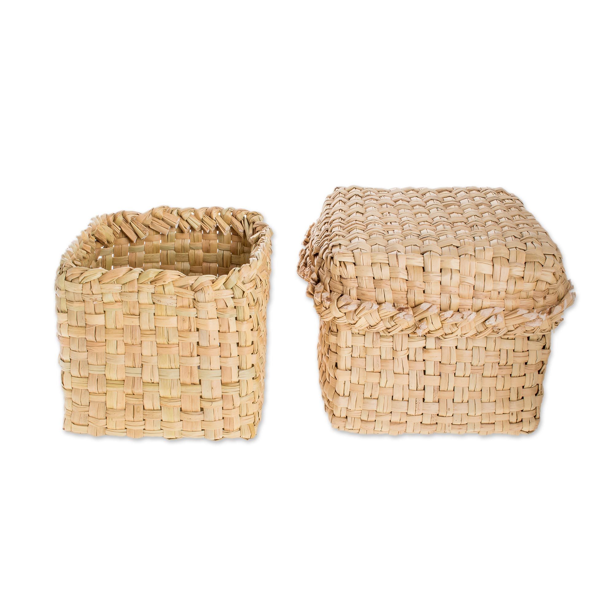 Handwoven Natural Cibaque Fiber Baskets (Pair) Cibaque Tradition NOVICA