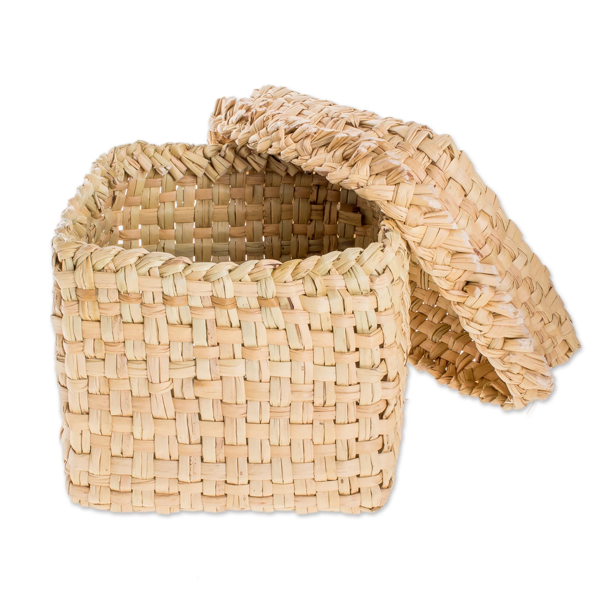 Handwoven Natural Cibaque Fiber Baskets (Pair) Cibaque Tradition NOVICA