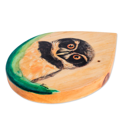 Wood plaque, 'Owl Gaze' - Hand-Painted Owl-Themed Wood Plaque Wall Art