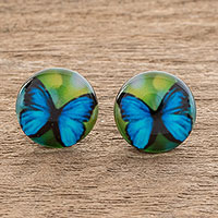Resin and paper button earrings, 'Morpheus' - Butterfly Resin and Paper Button Earrings from Costa Rica