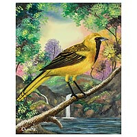 'Hooded Oriole' - Realist Hooded Oriole Painting from Guatemala