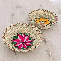 Natural fiber baskets, 'Bright Stars' (pair)