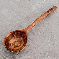 Wood serving spoon, 'Familiar Flavor'