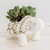 Maceta de terracota, 'Tortuga alegre' - Maceta de tortuga de cerámica hecha a mano de El Salvador