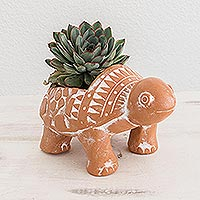 Terracotta flower pot, Cheerful Brown Turtle
