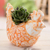 Blumentopf aus Terrakotta, 'Roosting Ginger Hen'. - Handgefertigter Keramik-Orangen-Hühnerblumentopf aus El Salvador