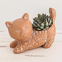 Featured review for Terracotta flower pot, Kitty Cat Stretches