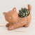 Terracotta flower pot, 'Kitty Cat Stretches' - Salvadoran Brown Cat Theme Ceramic Flower Pot thumbail