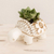 Terracotta flower pot, 'Busy White Turtle' - Busy White Ceramic Turtle Flower Pot from El Salvador